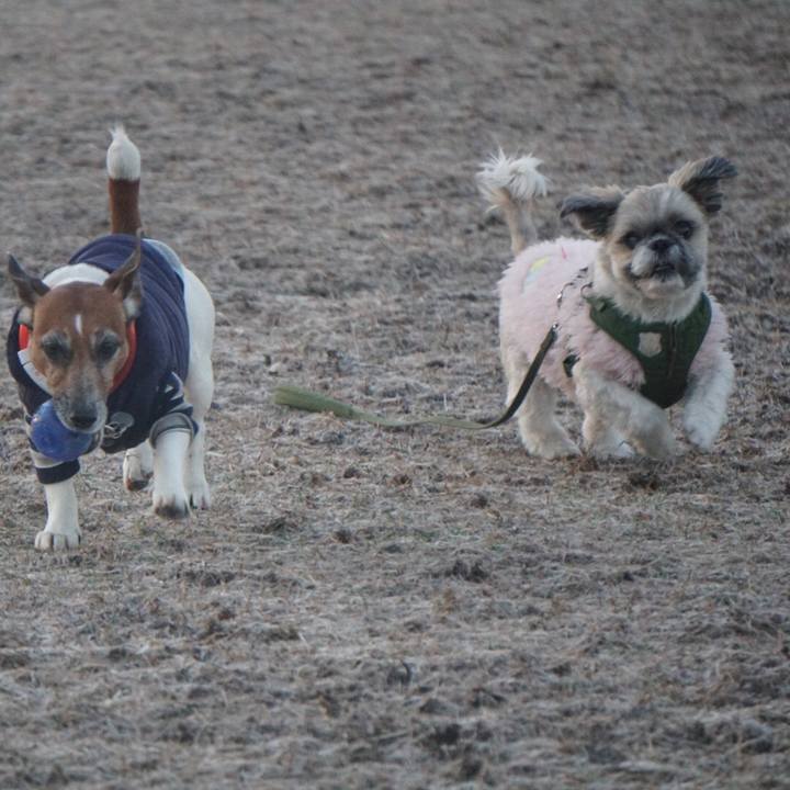 F9a58cc9 dda9 4c44 abca a7019bf97d11 1612911325403