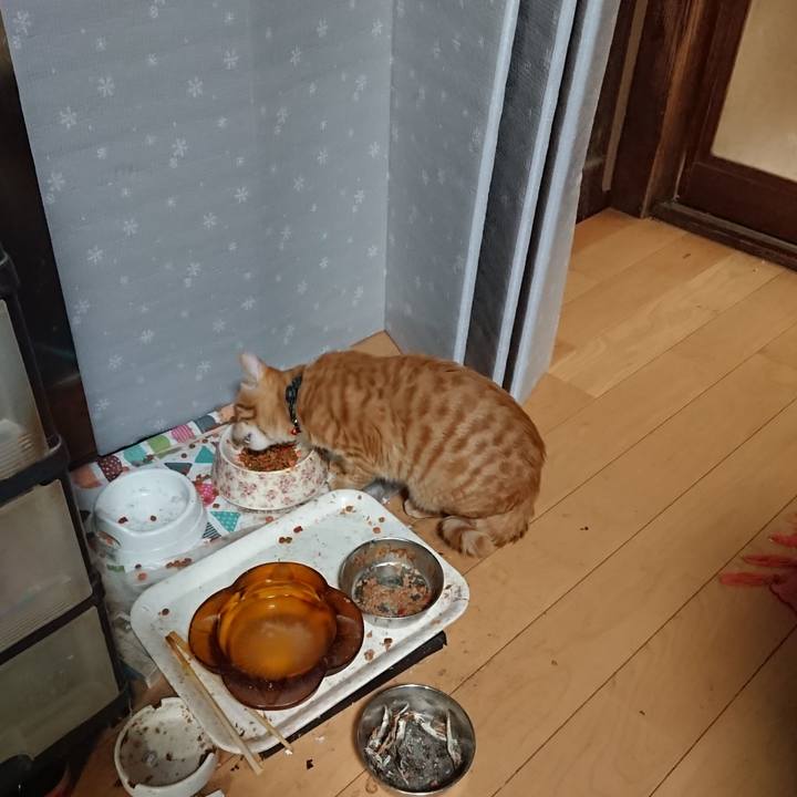 F9a596f5 07d0 46fb 822b 4231faf5e0fa 1638270543735