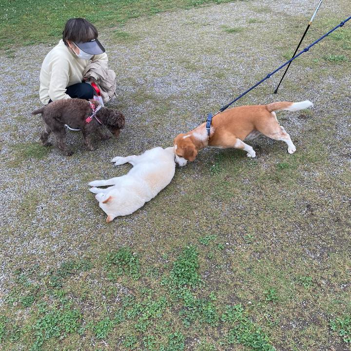 F9a5d9d2 1b18 41aa b6f3 1523b6b32897 1652279968582