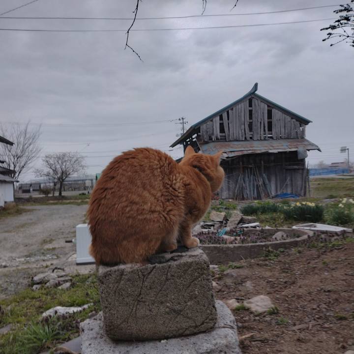 F9a5ea4c ead2 4089 a6e1 39962073cd6b 1681515474198