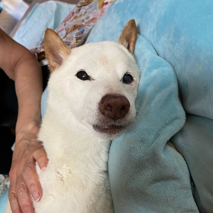 F9a5fd98 1776 4e66 9302 639e8b462788 1661159843515