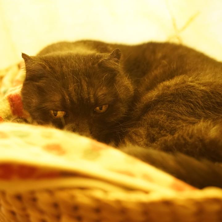 F9a63838 a7ff 4582 8c66 16ba30f7d35e 1595165138410