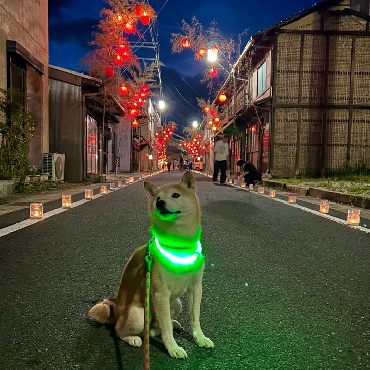 F9a646d2 7721 48af a27c 635c50596441 1752926170908