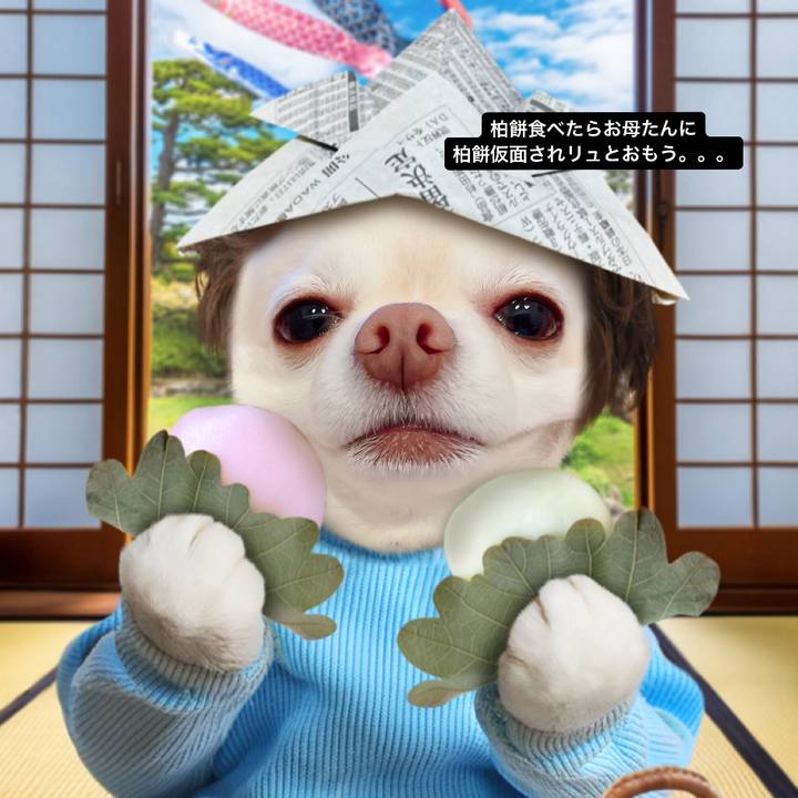 F9a64ceb 6eb1 4a6f ad72 e637250d20fe 1714552712464