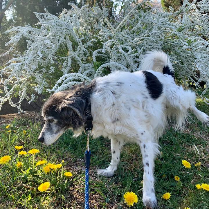 F9a66ad2 98be 4ea5 ac3e 9e226b87b13b 1649576323387