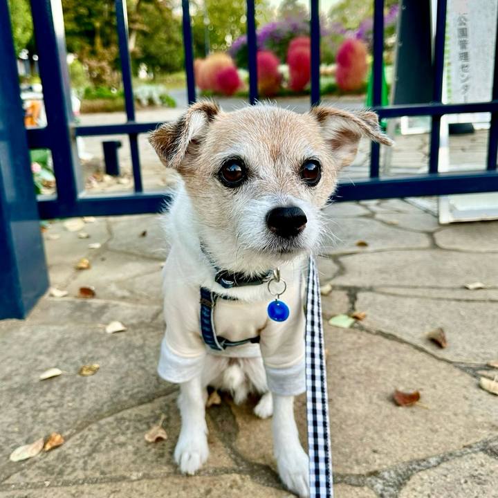 F9a681ff 9954 41cc 802a 4a5cf8561a33 1698188411906