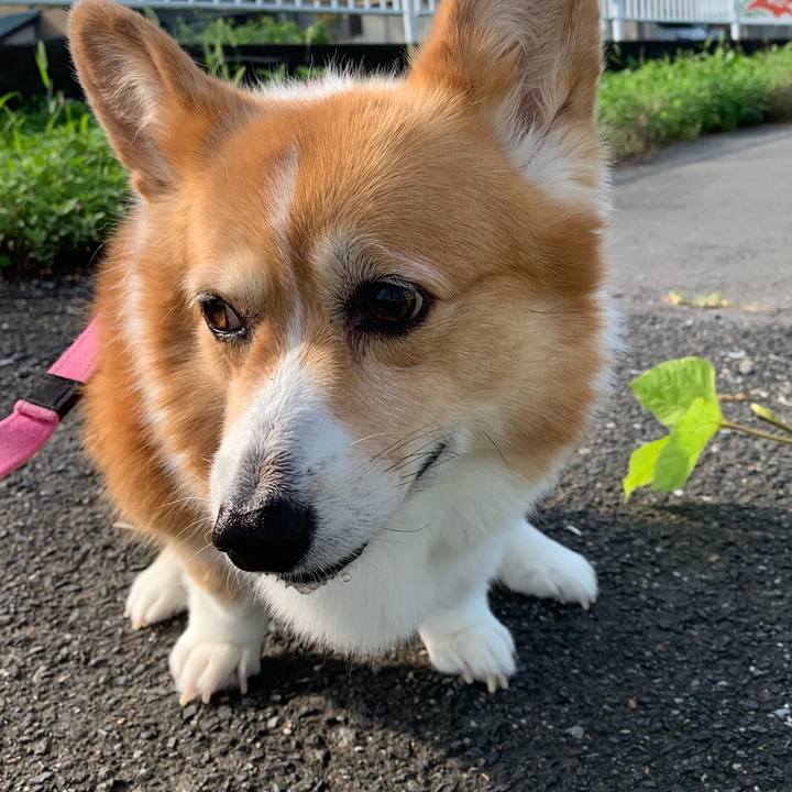 F9a6b7ff 024a 4b52 95dd 018ff966ce36 1721431230096