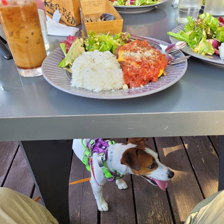 F9a6eeb8 1297 4c95 a249 3df9e83b98d3 1693707192949