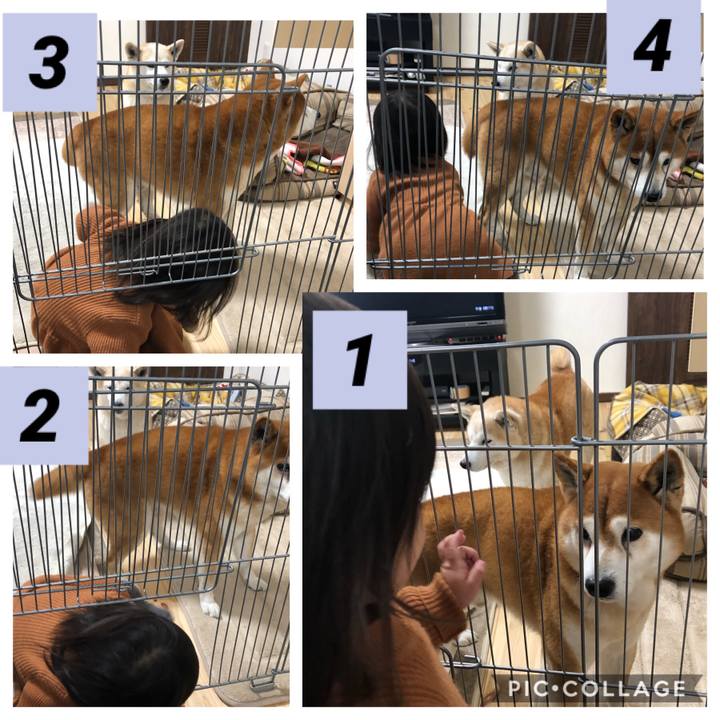 F9a6fd1a b95c 4003 8b1c a82ac3b05866 1546431053592