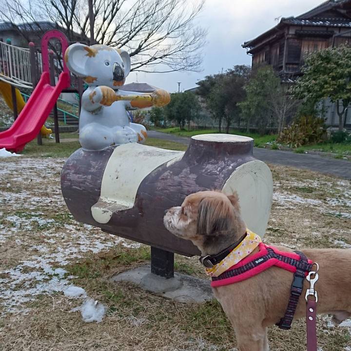 F9a7021a 14cc 424b 985a dc358d930d9b 1515658740659