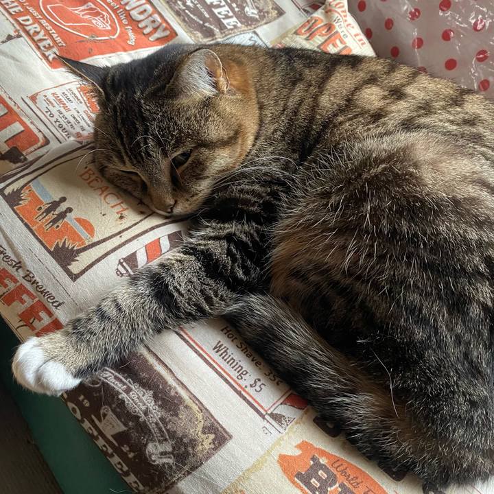 F9a706ac c124 4c0a b2cd 724f7fedc4be 1651179986694