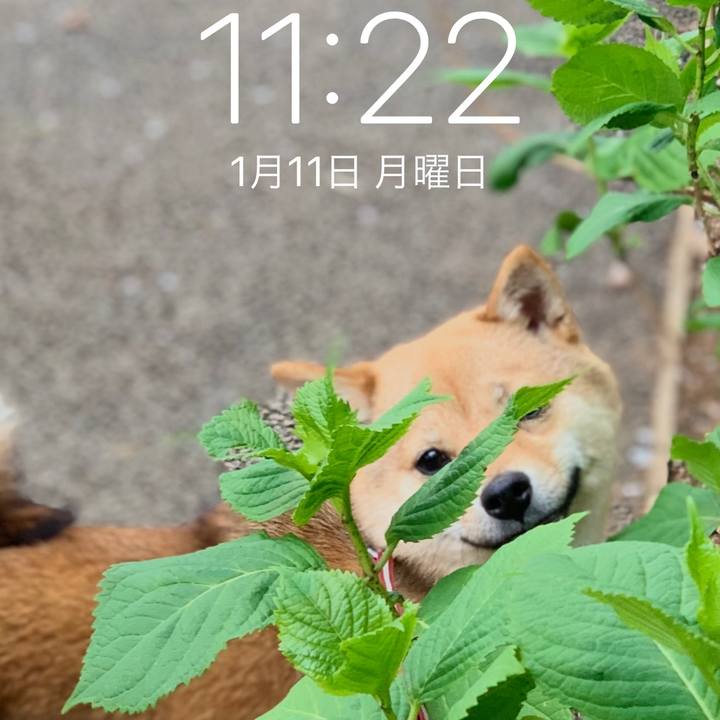F9a72e6c ddd6 4dea 890c 54f18e3a7ea9 1610331893199