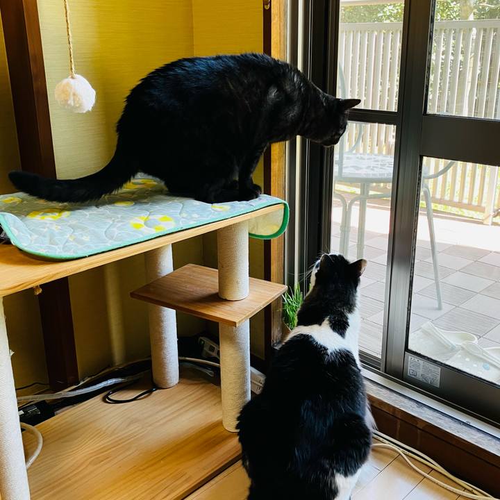 F9a743df 960d 4a50 b5dd 00fa5490b83e 1745799072321