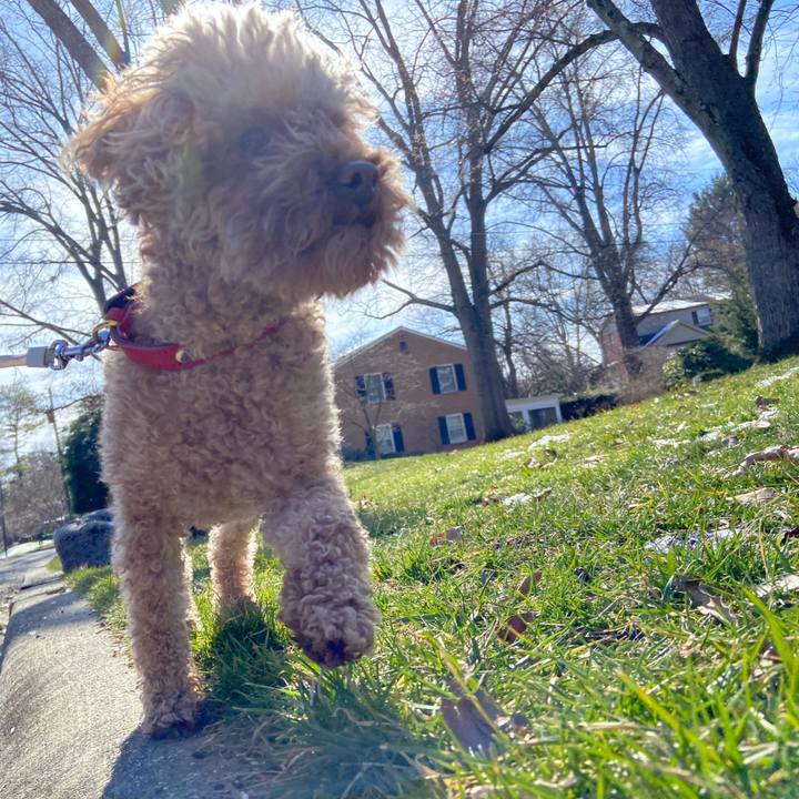 F9a778ab 6224 42ef a4fc a4aa6ee51f7c 1708285545505