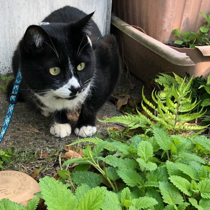 F9a79b6b 0ae6 4c8e 8971 833c91544599 1557120259853