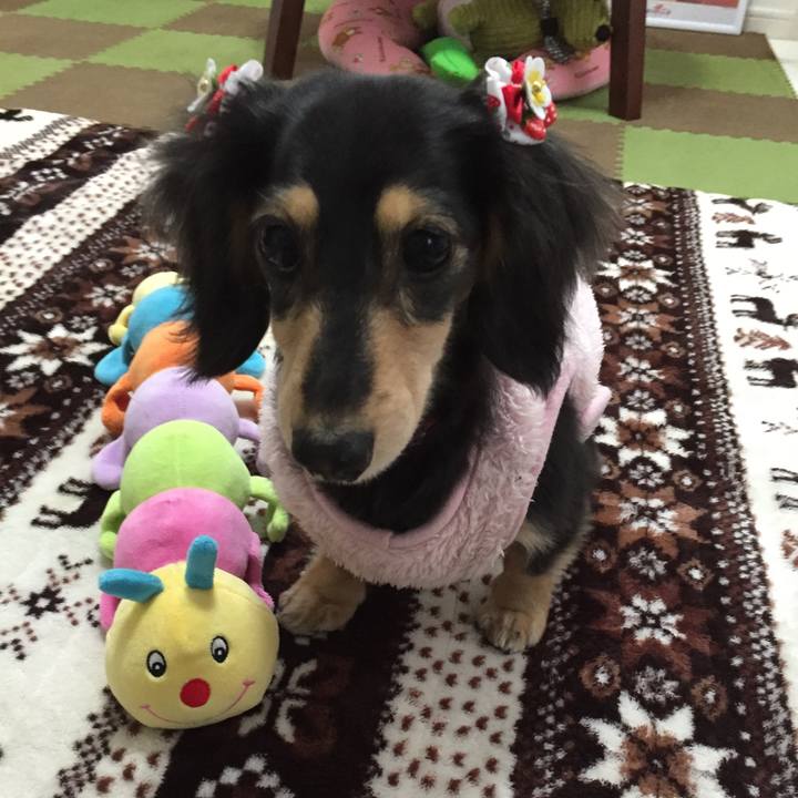 F9a7dc60 c386 4057 9426 74f930309e77 1517392742764