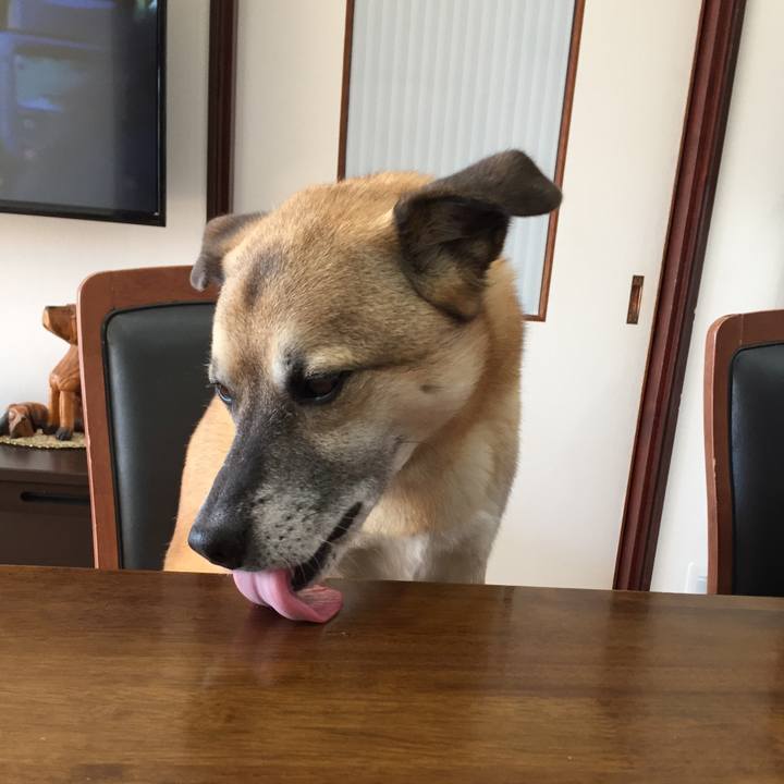 F9a7f04f 1a03 4a77 800d a94fd110caaa 1513913319085