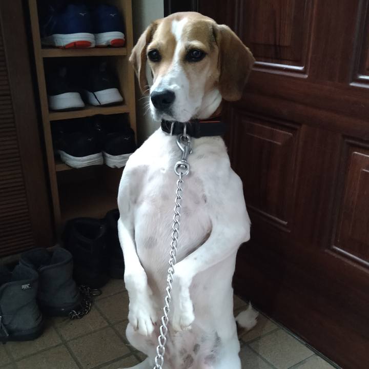 F9a7f9c3 ba6c 4a5b a15e bb2e76c64103 1632317320731