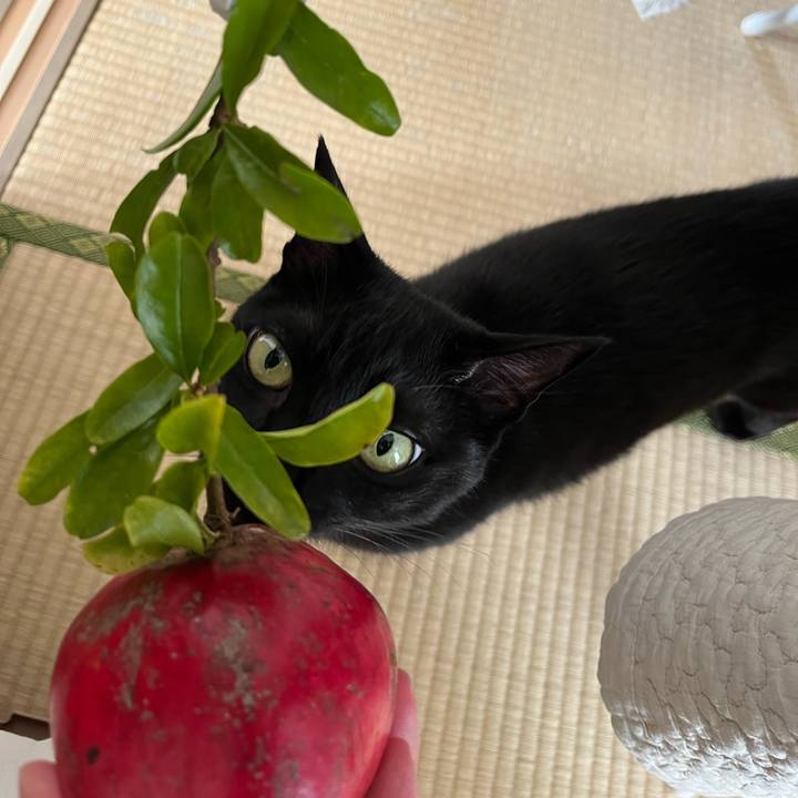 F9a80adc 2766 4130 95f7 1235e96cd27a 1696983167569