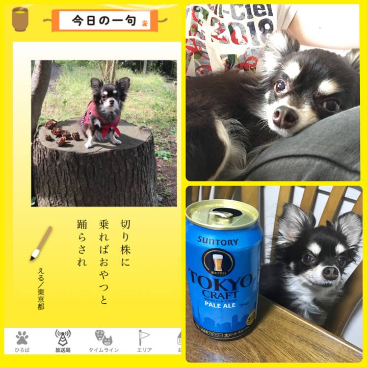 F9a815c0 546a 4ad6 b9eb bbfc05815c51 1571646126712