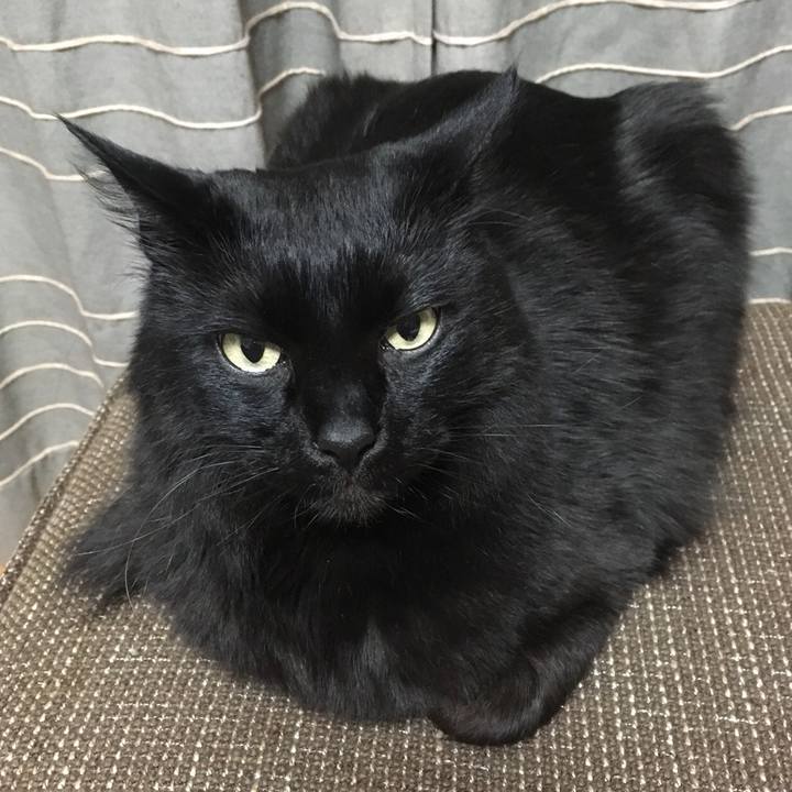 F9a8222b 227d 41eb 9c84 f5b48a07f2c2 1523300528878