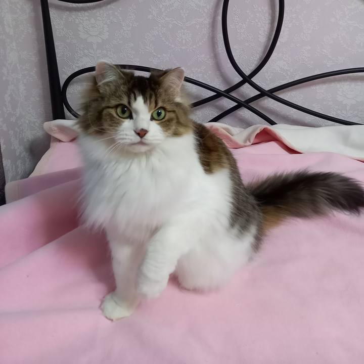 F9a83281 a710 4cee af95 559c0fd0b41a 1611008436628