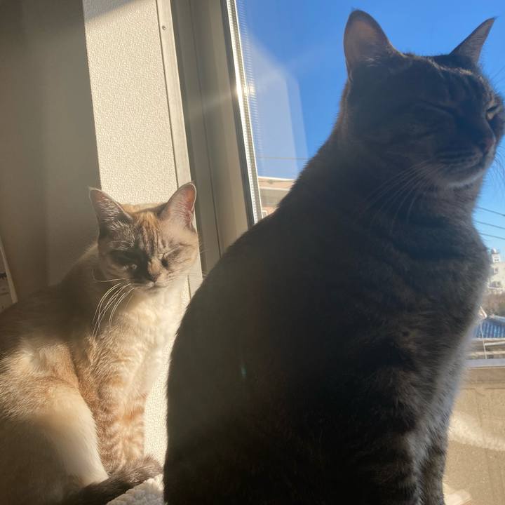 F9a86196 9850 495a 968e dc0ae52ee200 1642463633479