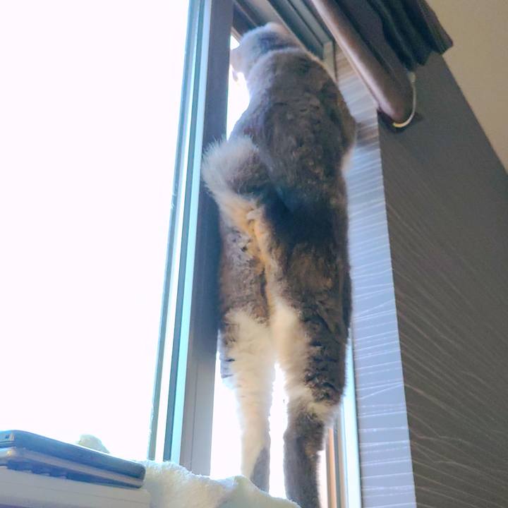 F9a88511 dac0 476d 94b3 63f69f89a470 1693519546389