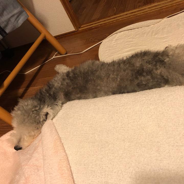 F9a89229 58d6 4d25 97db e6a5552f30be 1569940978817