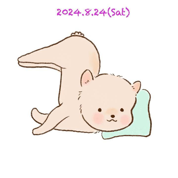 F9a8aa43 1ffb 422f a47e 2602730b167e 1724505161658