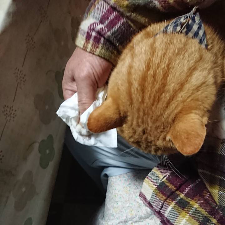 F9a8ab7f 0843 440c 8f03 ca94a28be196 1574281857127