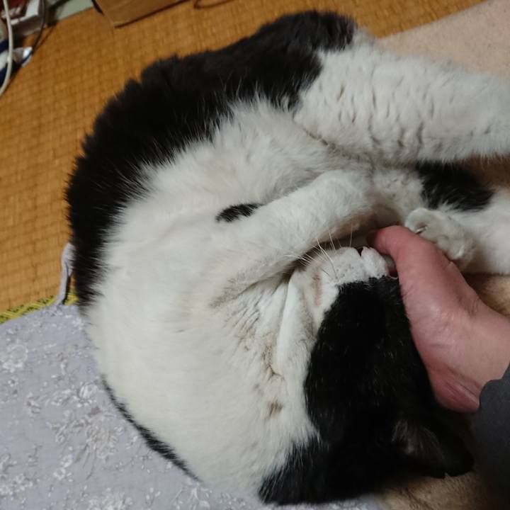 F9a8ae33 8677 4aee a65f 62b49ce01823 1645186785799