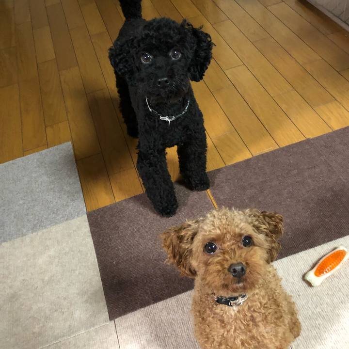 F9a8d30d ae38 4201 95de 56abcf43b93e 1536185155702