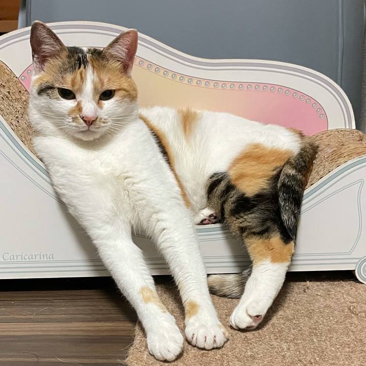 F9a8d5eb d8ba 43fd a0a2 d7da41518c71 1623765157978