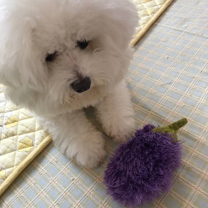 F9a8e21e 3ffe 42bf a22e 61c5f5cc7ba7 1600315097726