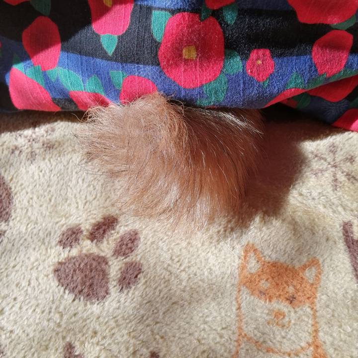 F9a9c379 500a 4974 848a 35e6a0a0cc23 1581501699991