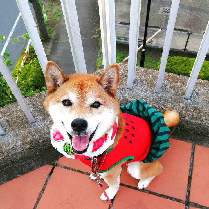 F9a9cb7b cf30 4c9a a6ce 918d7bc4c2f2 1659430697132