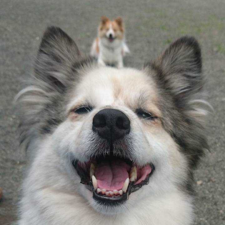 F9a9ce25 08b6 4a1a a69d 0306069087ff 1559479079000