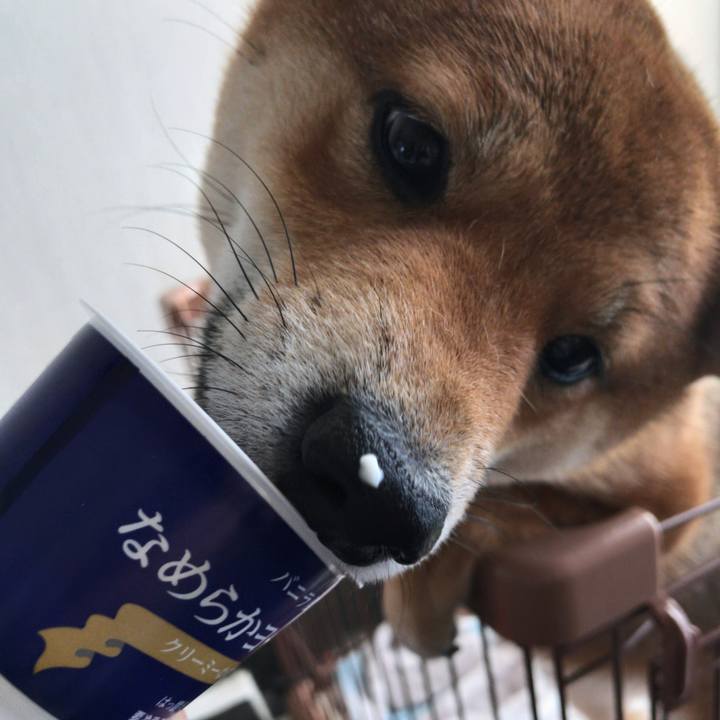 F9aa04c3 6ea7 41cc 9449 dafbf87bd6d9 1519037415259