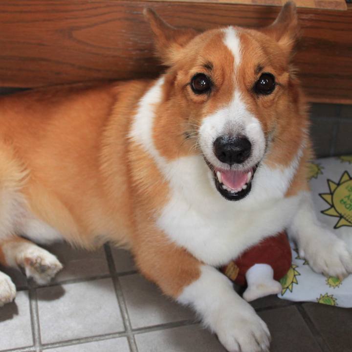 F9aa2d1f 66b6 45b7 92bb a90dfae7c84e 1540124359526