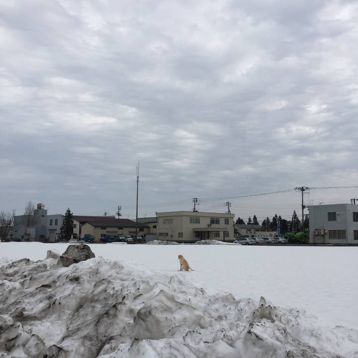 F9aa6b66 df68 42e6 a613 8a786b523b75 1520205295775