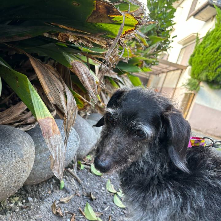 F9aa7e80 cfde 4efd b6f4 3f611ef5b938 1720055436367