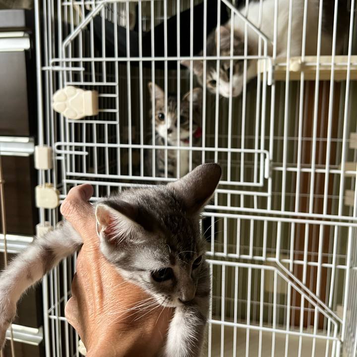 F9aa8f9d 2185 4e8a ab85 7a0f97672172 1696141397803