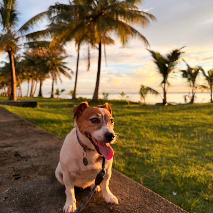 F9aa92a1 fdea 4437 94c1 7f7eedd7b1a1 1768385189097