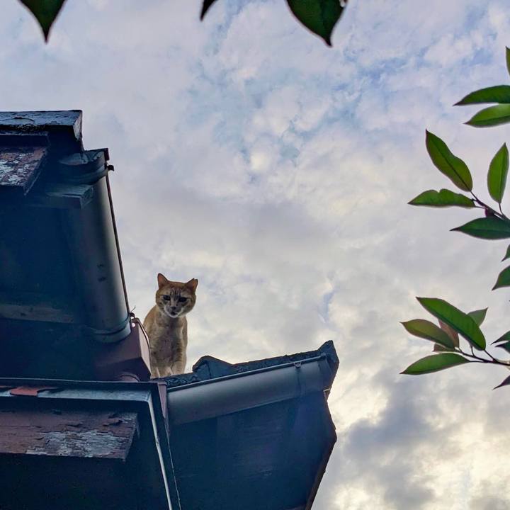 F9aaa294 5849 4f00 9316 6af8d4006973 1757975196014