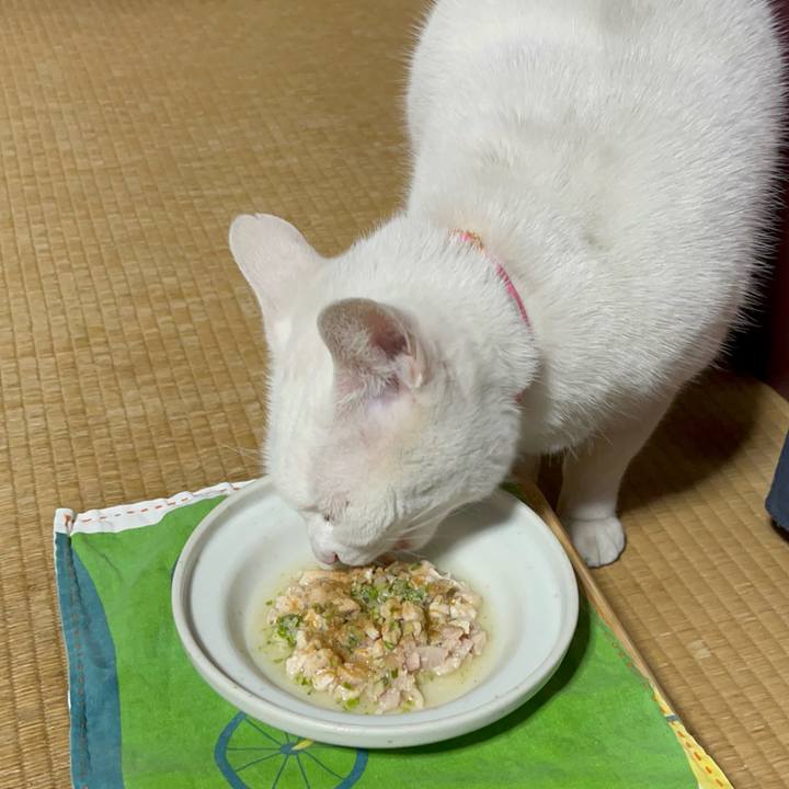 F9aad59e 2537 4bc6 8b1c 139baac8d682 1764412710781