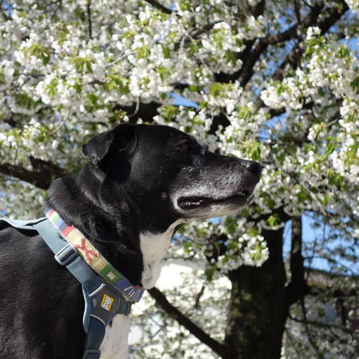 F9aaef26 2d58 4414 a682 4e44d4f6a5d8 1712710098472