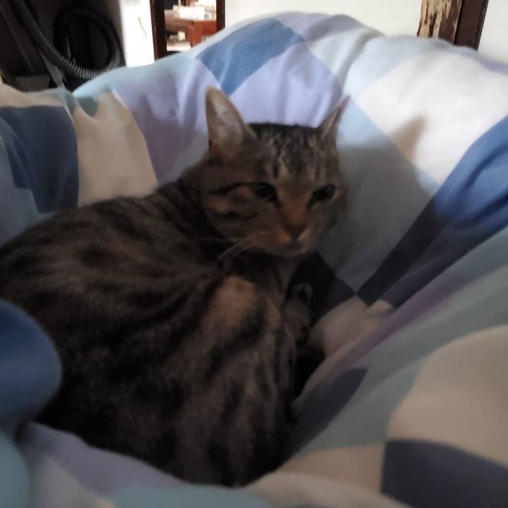 F9aaffca cb33 4a43 8d84 cfd4ff3bbd61 1724232797116