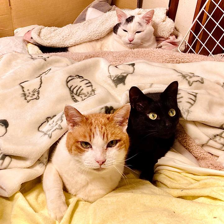 F9ab30a9 f66d 4a68 8eb3 11fa642f041c 1713944672856