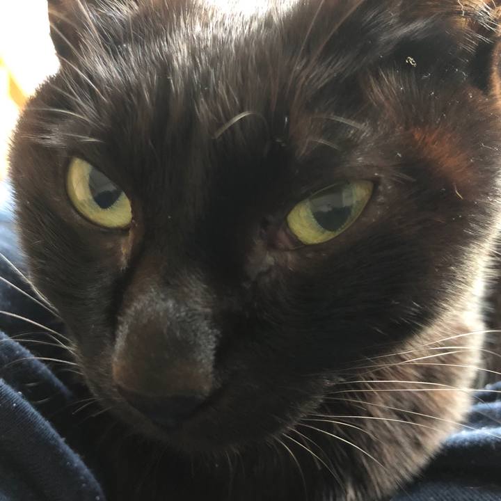 F9ab433d 1b84 4172 8f13 d7459e6c6fd3 1731882604026